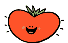 nietnulaura laura janssens tomato tomatoes tomaat