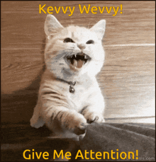 Attention Give Me Attention GIF - Attention Give Me Attention Kevvy Wevvy GIFs