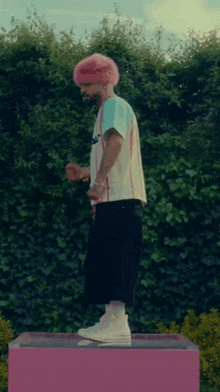 a man with pink hair is standing on top of a pink box .