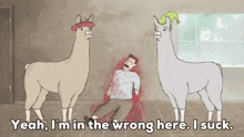 a cartoon of two llamas standing next to a dead man with the caption yeah i 'm in the wrong here