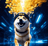 a dog wearing a dea hat is running