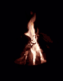 Campfire Fire GIF - Campfire Fire GIFs