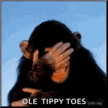 Ole Tippy Toes Laughing GIF - Ole Tippy Toes Laughing Lol GIFs