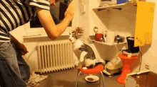 High Five? I Love You Kitty, You Are A True Bro GIF - Cats GIFs