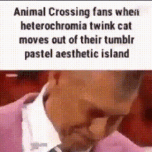 Animal Crossing Twink Cat GIF - Animal Crossing Twink Cat Moves Out GIFs