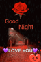 Good Night GIF - Good Night Rosesgif GIFs