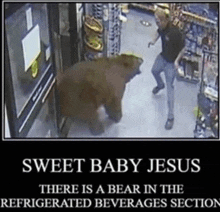 Sweet Baby Jesus Bear In The Refrigerated Beverages Section GIF - Sweet Baby Jesus Bear In The Refrigerated Beverages Section Bear Silly GIFs