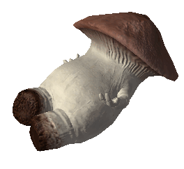 Im Drowning Mushroom Sticker