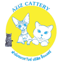 Aziz Cat GIF