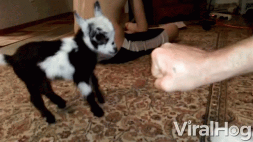 Baby Fist Bump GIF - Baby Fist Bump Baby Fist Bump - Discover