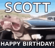 Happy Birthday Scott Dog GIF - Happy Birthday Scott Dog Drive GIFs