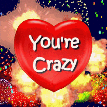 Youre Crazy You Are Crazy GIF - Youre Crazy You Are Crazy Insane GIFs