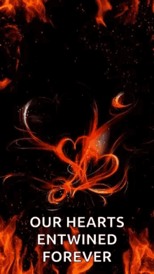 Hearts Flames GIF - Hearts Flames Fire Hearts GIFs