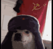 Soviet Doggo Communist GIF - Soviet Doggo Communist GIFs