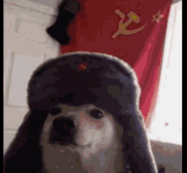 Soviet Doggo Communist GIF Soviet Doggo Communist Discover Share GIFs