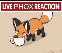 Live Fox Reaction GIF - Live Fox Reaction GIFs