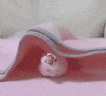a person 's hand is touching a pink blanket