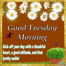 a good tuesday morning message with flowers and a hummingbird