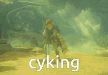 Link Zelda GIF - Link Zelda Cyking GIFs