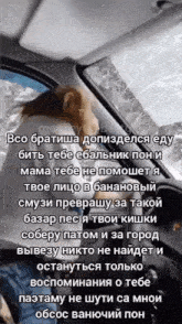 a dog is sitting in the driver 's seat of a car with russian writing on it
