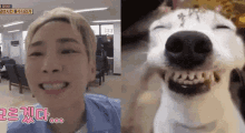 a picture of a man and a picture of a dog with chinese writing on the bottom