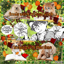 a collage of images with the words finals week or final week locked in fr this time