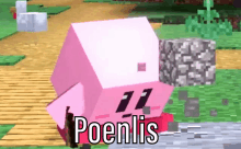 Poenlis GIF - Poenlis GIFs
