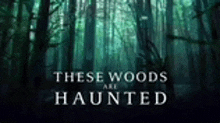 a poster for the movie these woods are haunted shows a dark forest with trees .