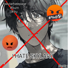 I Hate Skylar Skylar Litc GIF