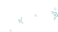 a group of butterflies are flying in a row