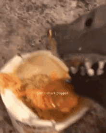 Shark Puppet Hungry GIF - Shark Puppet Hungry Noodles GIFs
