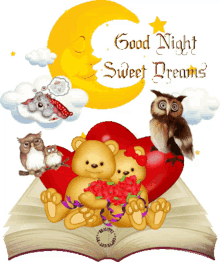 goodnight sweet dreams owls sleep heart