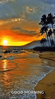 beach ocean sunset sunrise