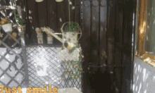 a sign that says just smile on it in front of a fence