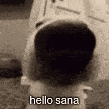 Hello Sana Dog GIF - Hello Sana Dog GIFs