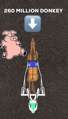 Off And Pacing Pig GIF - Off And Pacing Pig 260 Million GIFs