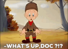 Hello Whats Up Doc GIF - Hello Whats Up Doc Bugs Bunny GIFs
