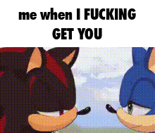 shadow the hedgehog and sonic the hedgehog are standing next to each other .