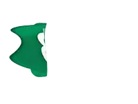 a green icon with a white letter b on it
