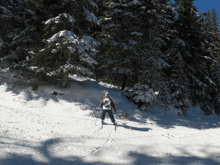 Charline Ski GIF - Charline Ski Sapin GIFs