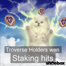 Troverse Staking GIF - Troverse Staking Nf Ts GIFs