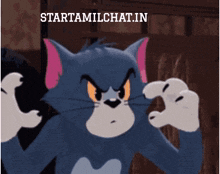 a picture of a cat with the words starttamilchat.in on the bottom