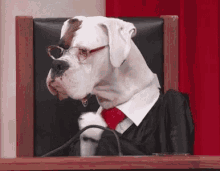 Dog Clapping GIF - Dog Clapping Applause GIFs