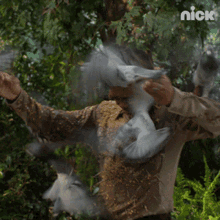 Birds Attack All That GIF