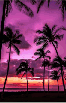 neon beach kevindaunicorn sunset