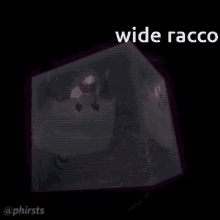 Wide Raccoon Wide Raccoon Roblox GIF - Wide Raccoon Wide Wide Raccoon Roblox GIFs