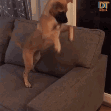 Jump Hop GIF - Jump Hop Excited GIFs
