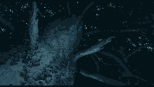 a tree with a lot of branches and leaves on it in the dark