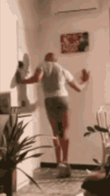 GIF