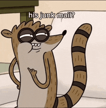 a cartoon of a raccoon with the words his junk mail above him